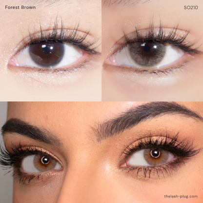 SO210 – Forest Brown – hydrophilic contact lens